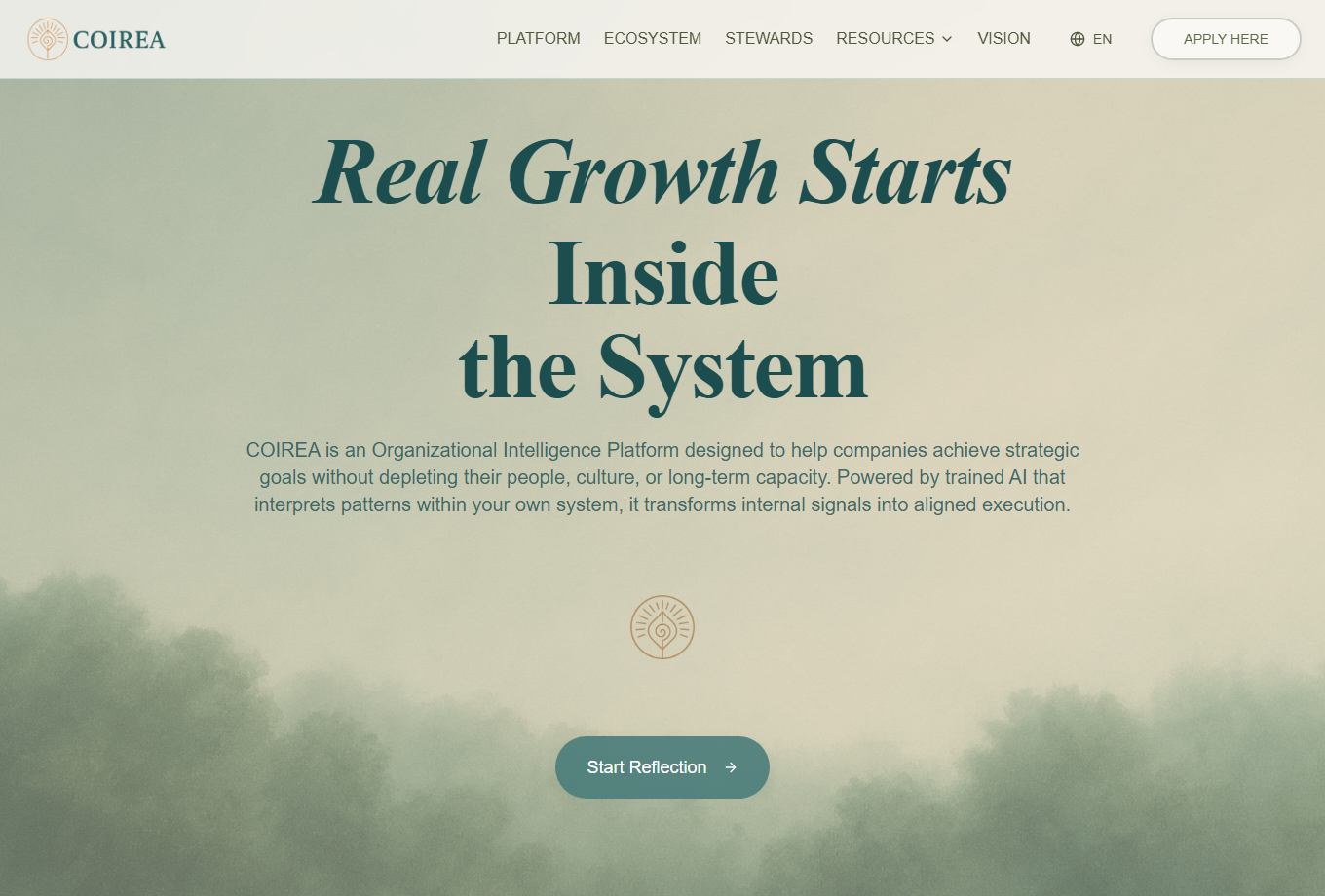 Coirea website preview